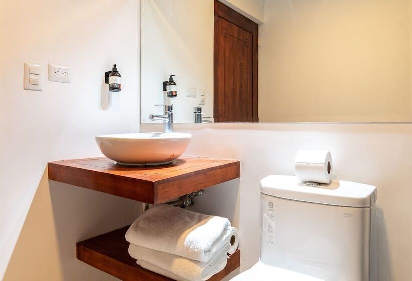 בית מלון כפרי Dunama