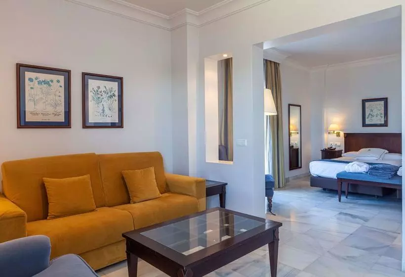 Отель Duque De Najera