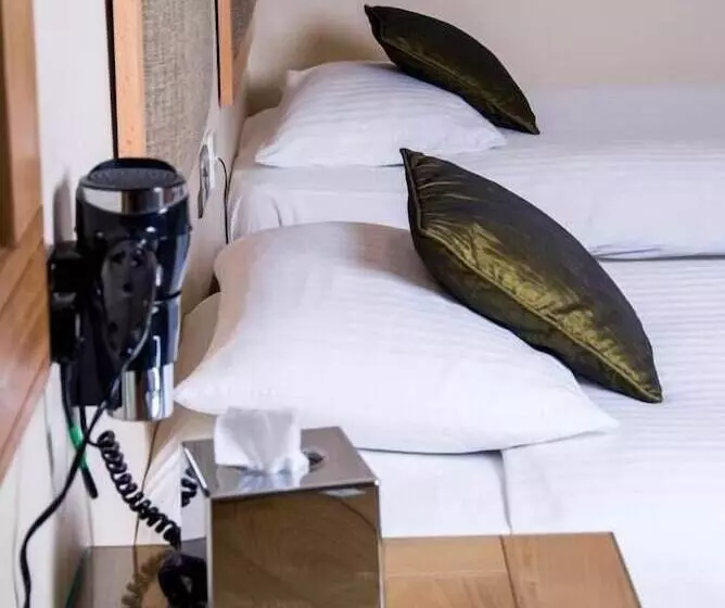 בית מלון כפרי Gwesty R Emlyn