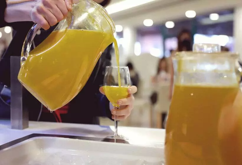 酒店 Ohtels Vil·la Romana