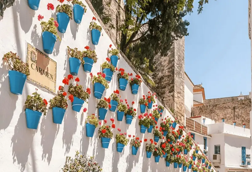 Puerto Azul Marbella