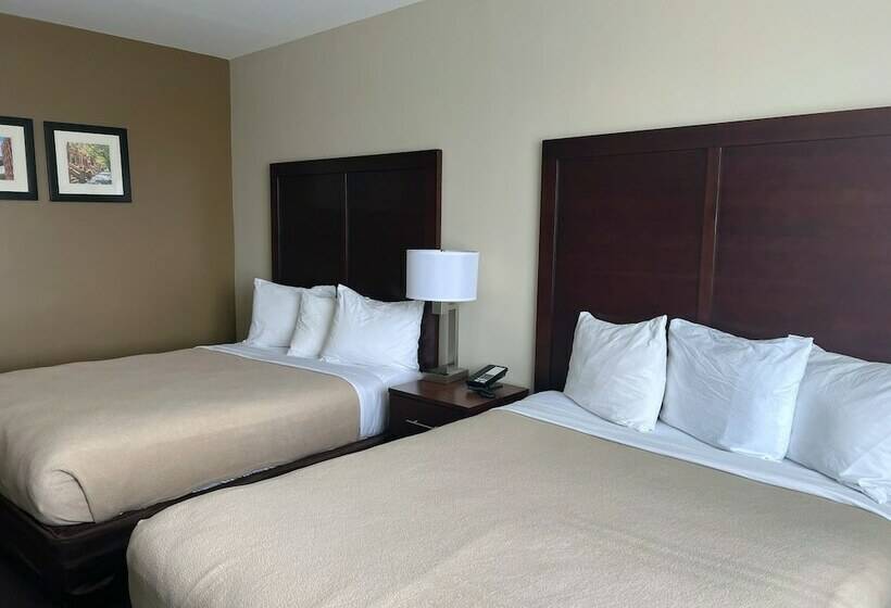 هتل Lotus Blu Inn & Suites