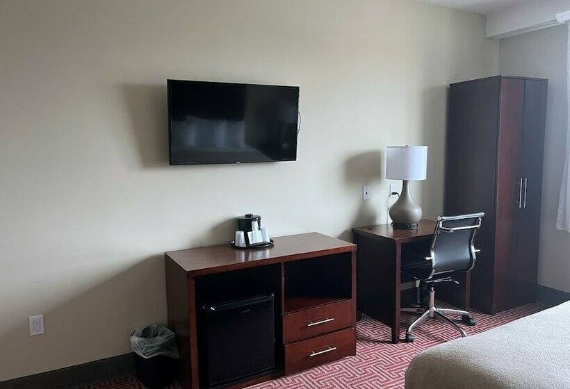 هتل Lotus Blu Inn & Suites