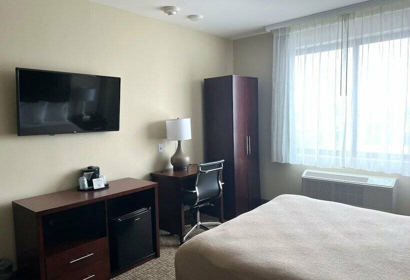 هتل Lotus Blu Inn & Suites