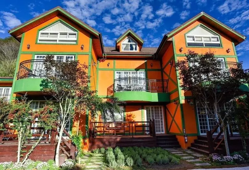 هتل Nantou Cingjing Star Homestay B&b