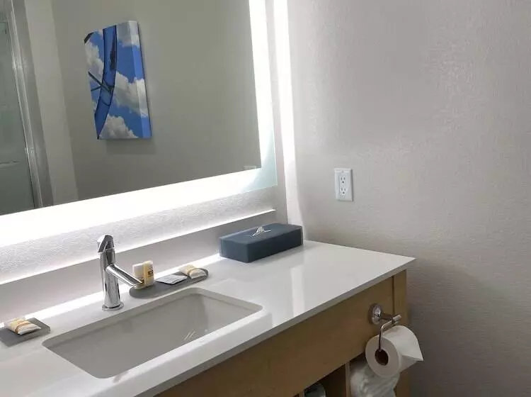 ホテル La Quinta Inn & Suites By Wyndham Wisconsin Dells Lake Delton