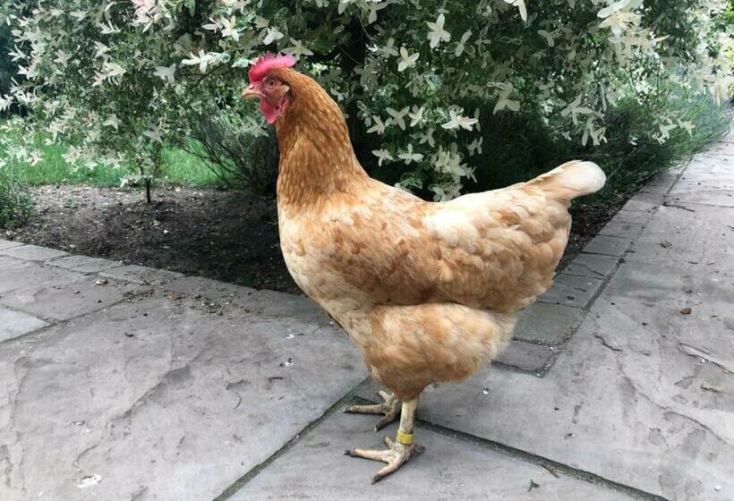 Bed and Breakfast Old School House