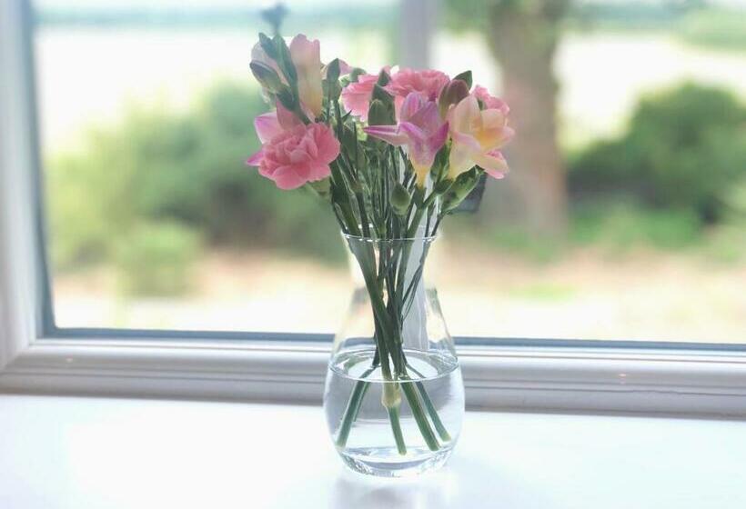 Bed and Breakfast Old School House