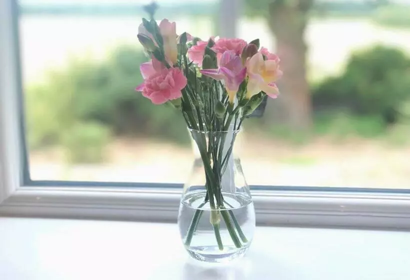 ベッドアンドブレックファースト Old School House