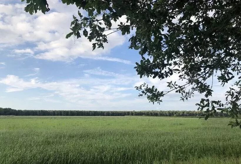 ベッドアンドブレックファースト Old School House