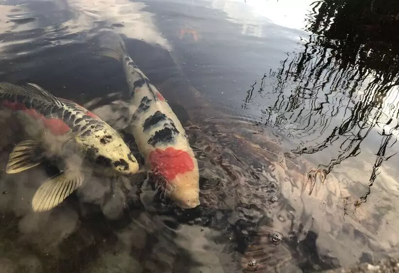 ベッドアンドブレックファースト Old School House