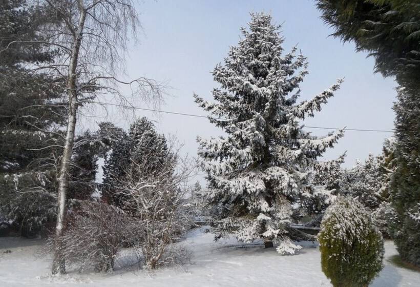 Bed and Breakfast Old School House