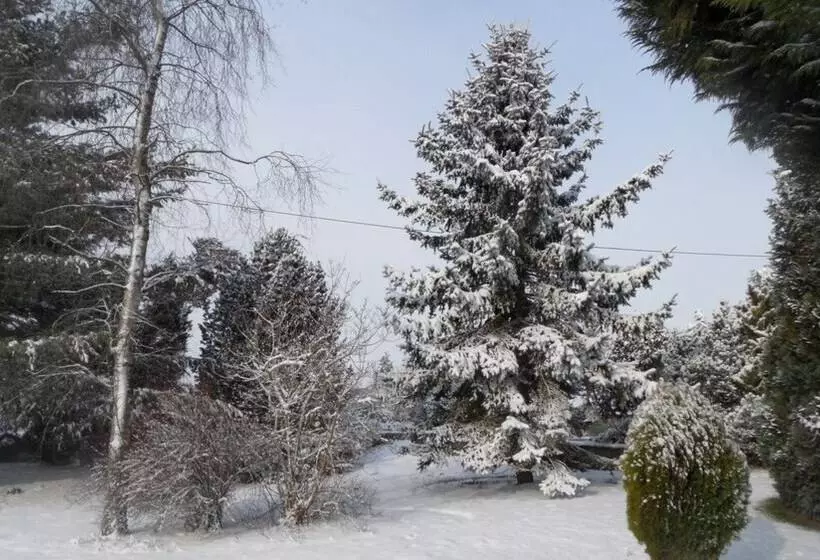 ベッドアンドブレックファースト Old School House