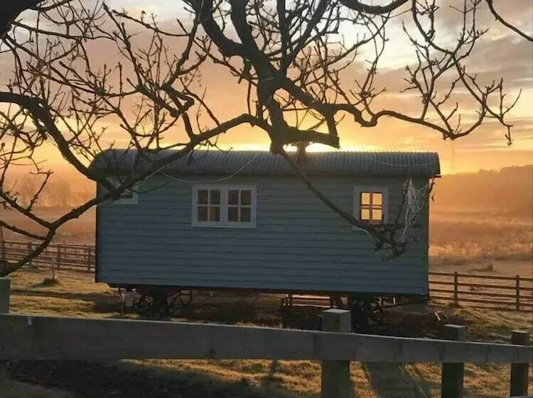 هتل Craigduckie Shepherds Huts