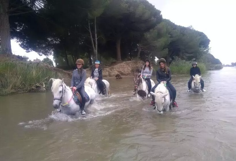 Majatalo Suites D Hôtes Prestige Mas De L étoile