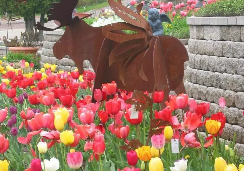 Winfield Inn And Gardens