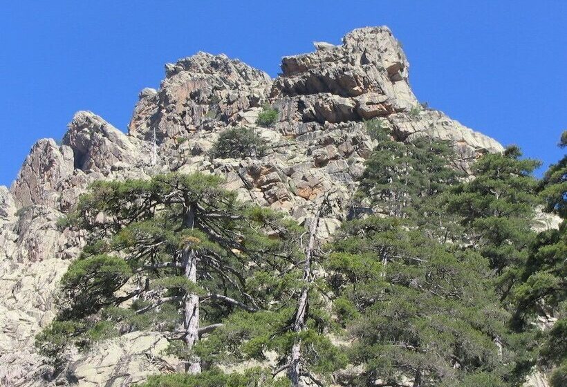 مبيت وإفطار Bergerie U Sialellu