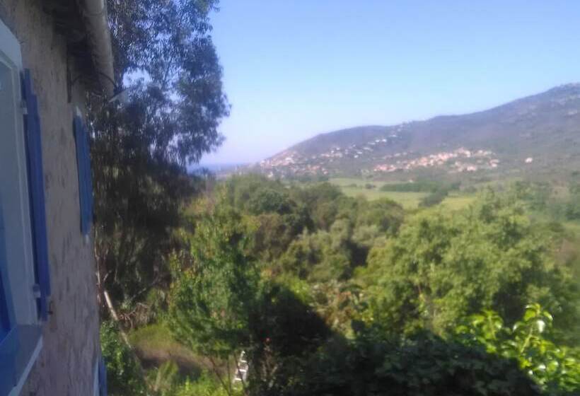 مبيت وإفطار Bergerie U Sialellu