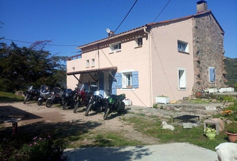 مبيت وإفطار Bergerie U Sialellu