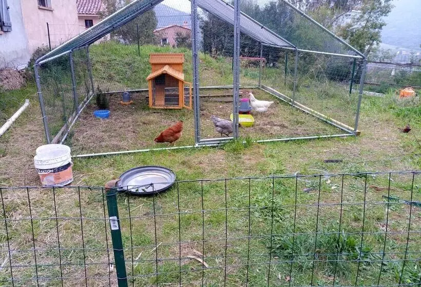 Aamiaismajoitus (B&B) Bergerie U Sialellu