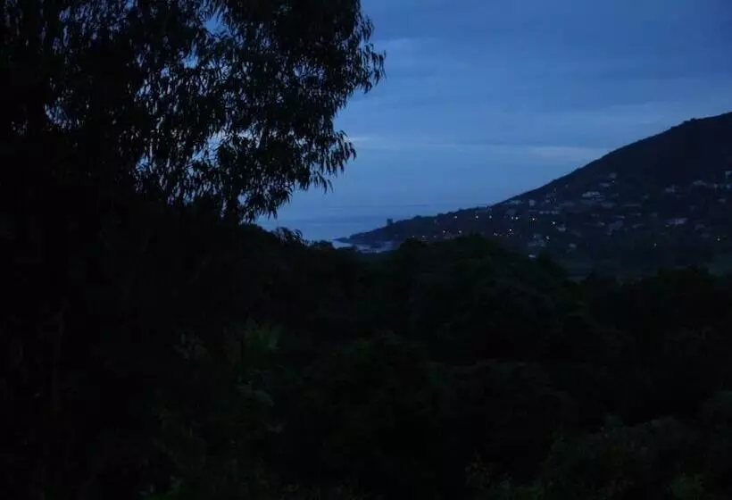 Aamiaismajoitus (B&B) Bergerie U Sialellu