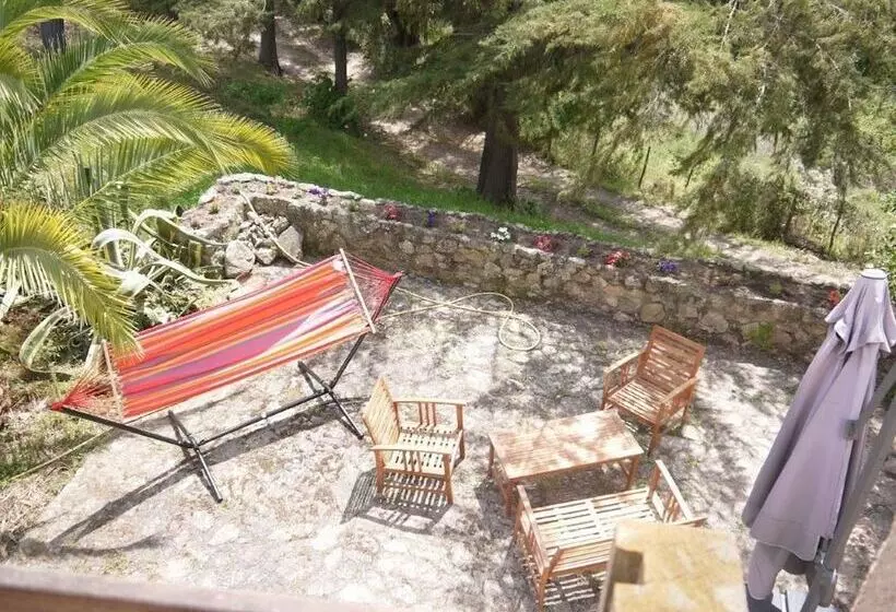 Aamiaismajoitus (B&B) Bergerie U Sialellu