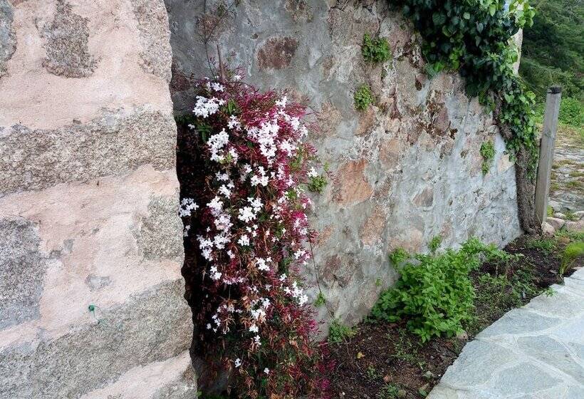 مبيت وإفطار Bergerie U Sialellu