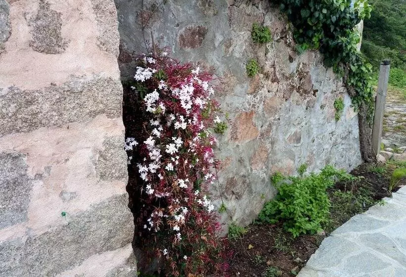 Aamiaismajoitus (B&B) Bergerie U Sialellu