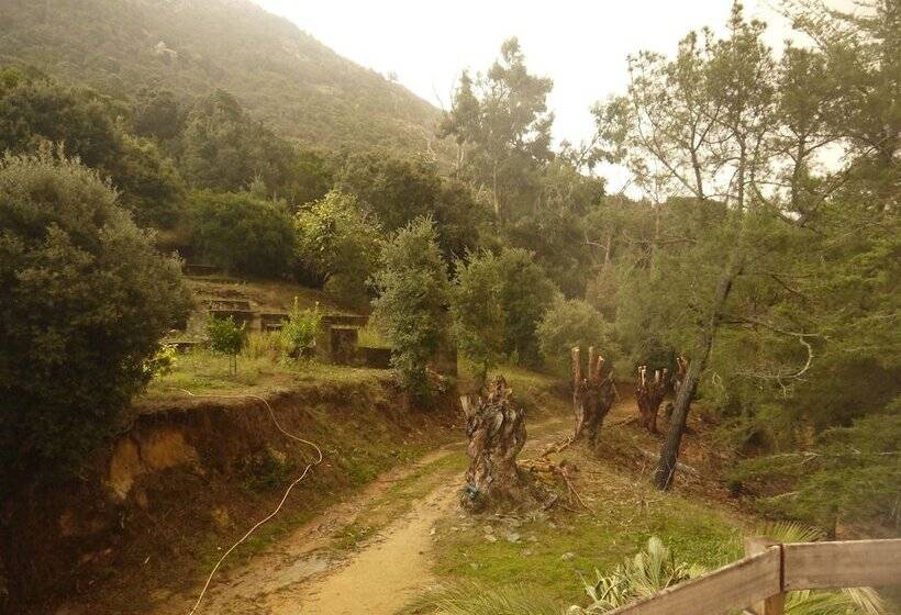 مبيت وإفطار Bergerie U Sialellu