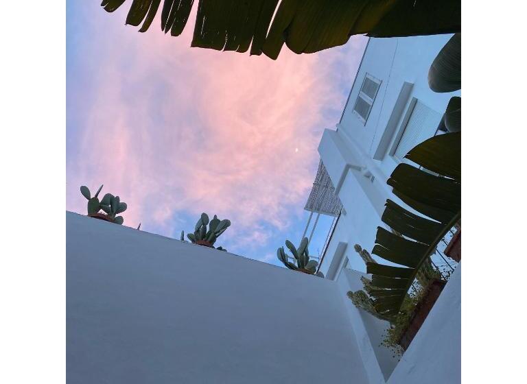 تختخواب و صبحانه Suites Edivino Design Capri