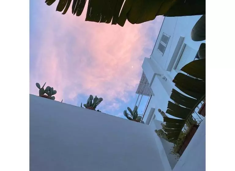تختخواب و صبحانه Suites Edivino Design Capri