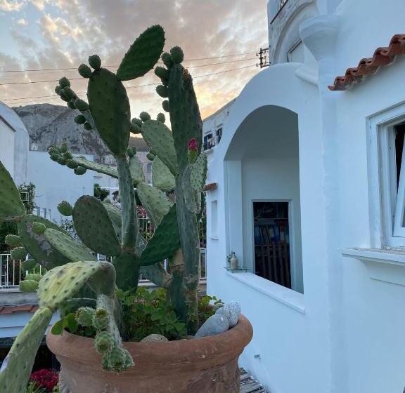 تختخواب و صبحانه Suites Edivino Design Capri