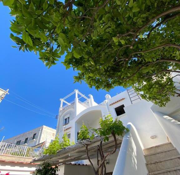 تختخواب و صبحانه Suites Edivino Design Capri