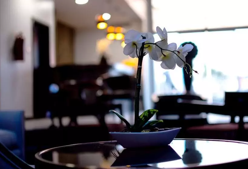 هتل Swiss International The Vistana