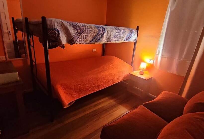 بنسيون Gatos De Campo Tiernos Y Traviesos