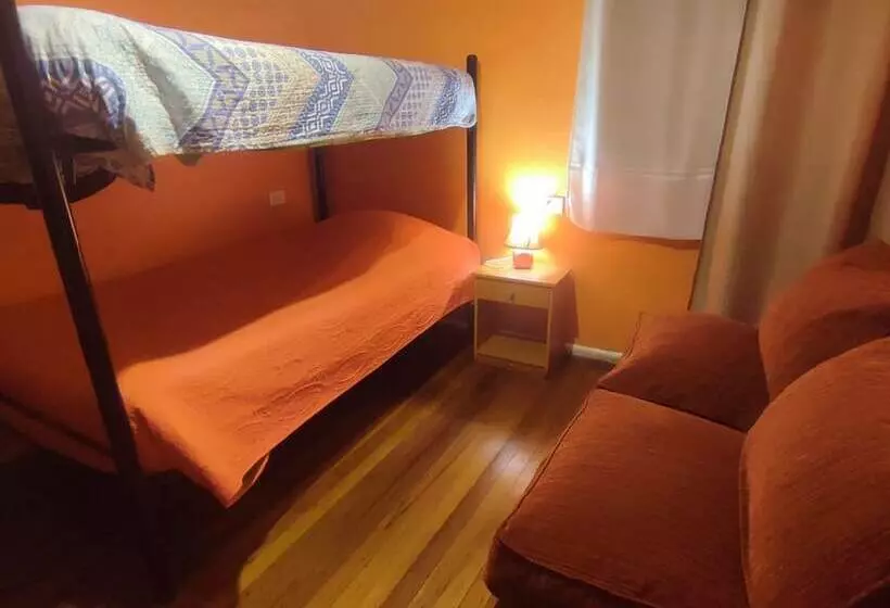 پانسیون Gatos De Campo Tiernos Y Traviesos