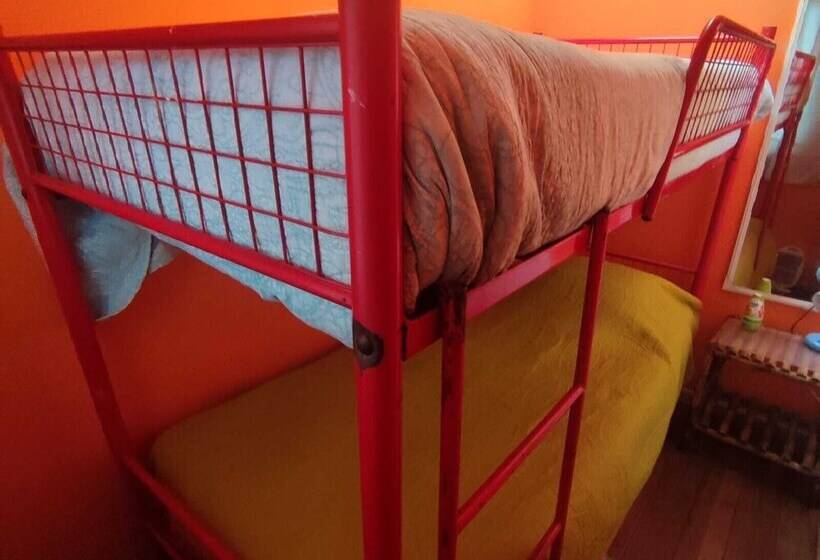 بنسيون Gatos De Campo Tiernos Y Traviesos