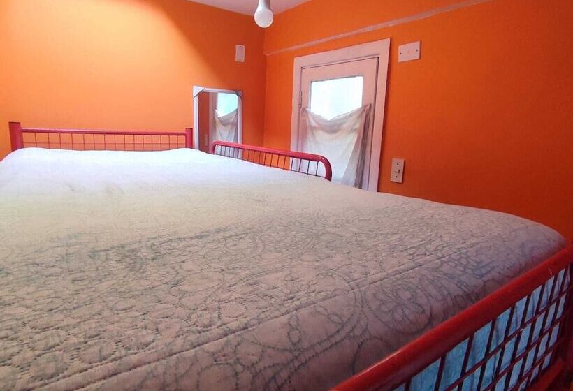 بنسيون Gatos De Campo Tiernos Y Traviesos