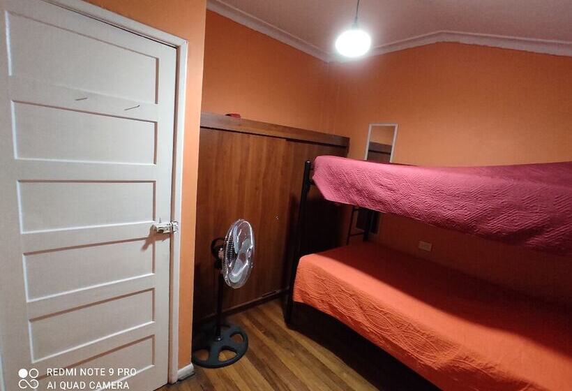 بنسيون Gatos De Campo Tiernos Y Traviesos