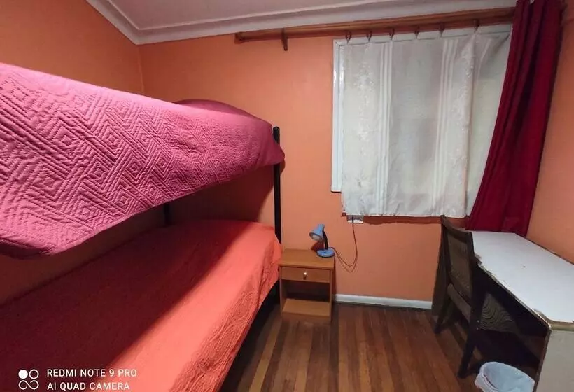 پانسیون Gatos De Campo Tiernos Y Traviesos