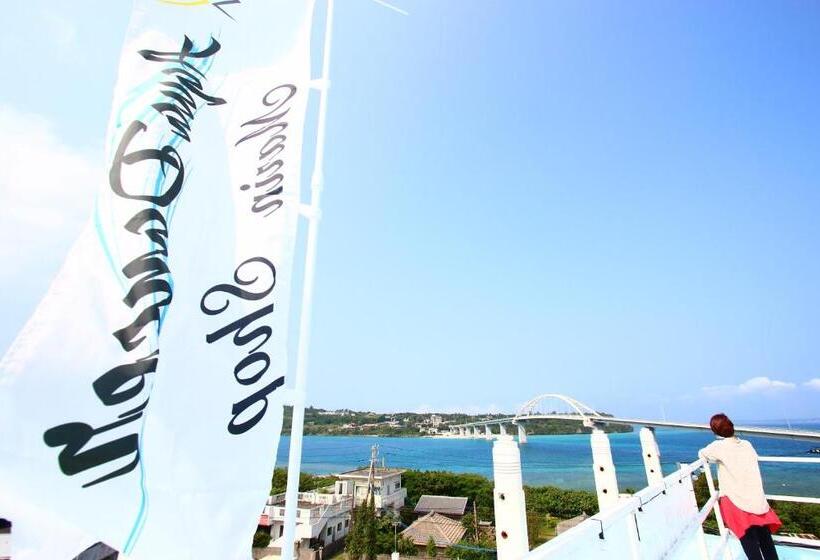 هاستل Do Pi Can