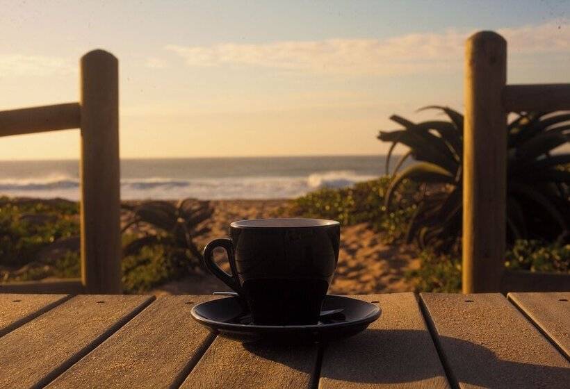 Bed and Breakfast North Star Micro