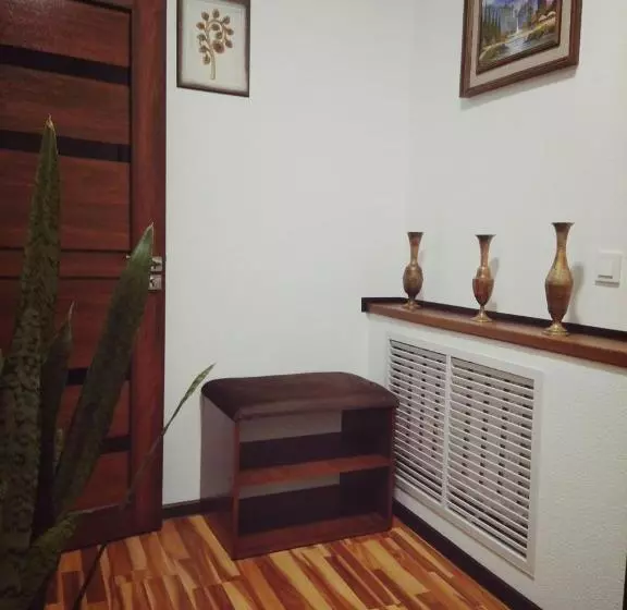 Pension Guest House Safina S&d