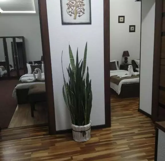 Pension Guest House Safina S&d