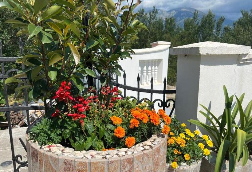 پانسیون Neðo Apartments Brda