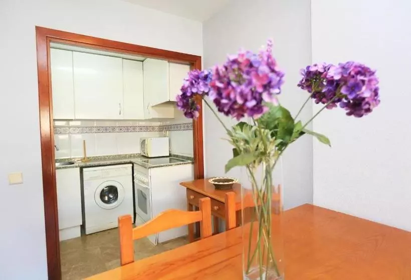 Grekus Litoral Only Families