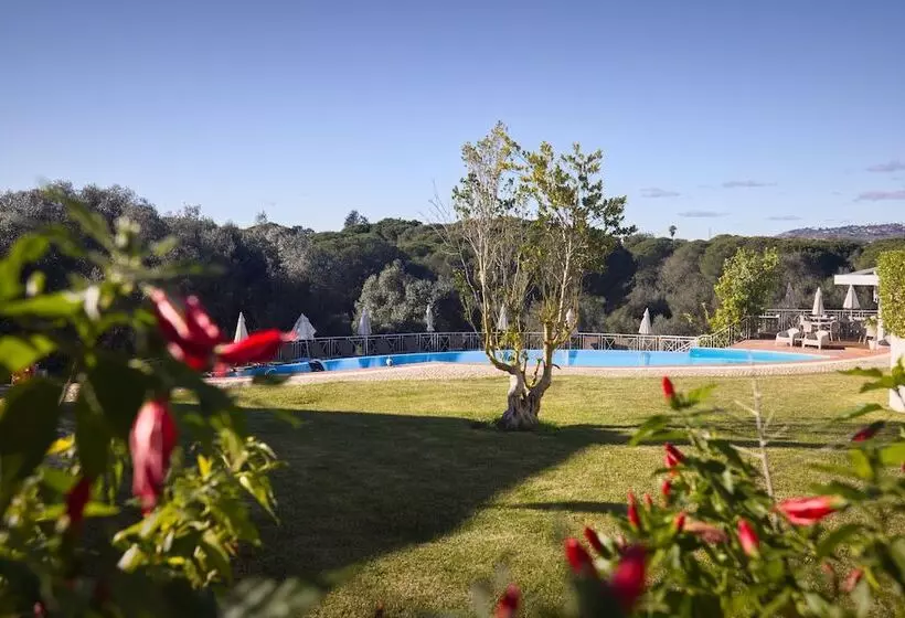 酒店 Cegonha Country Club