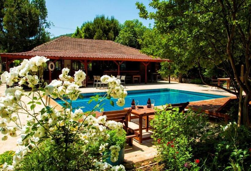 هاستل Makri Otel