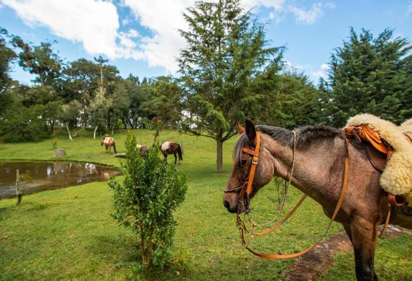 هتل Aires De Patagonia
