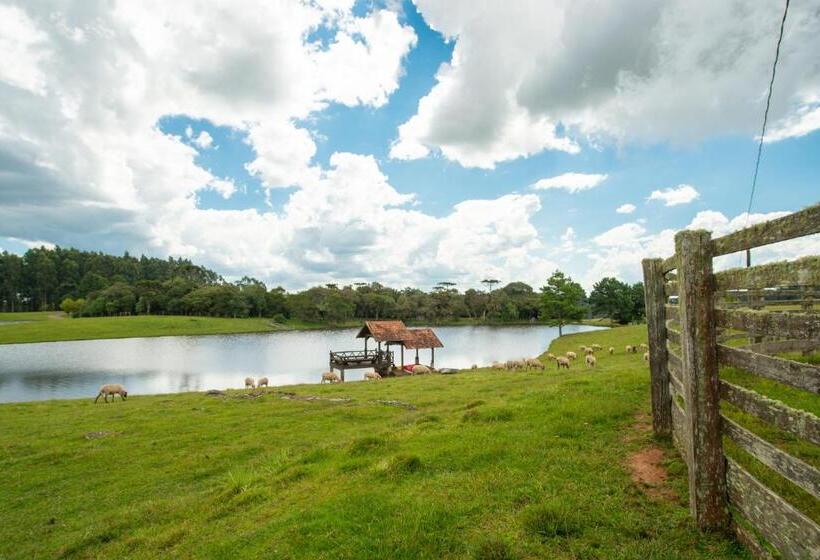 هتل Aires De Patagonia